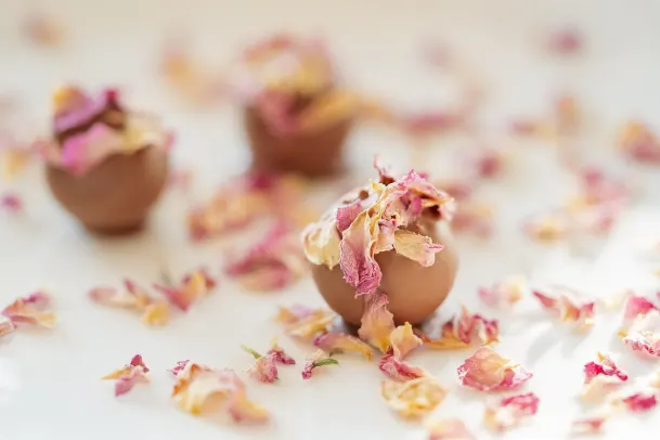 كازينو بالم سلوتس تطبيق أندرويد/آي أو إس